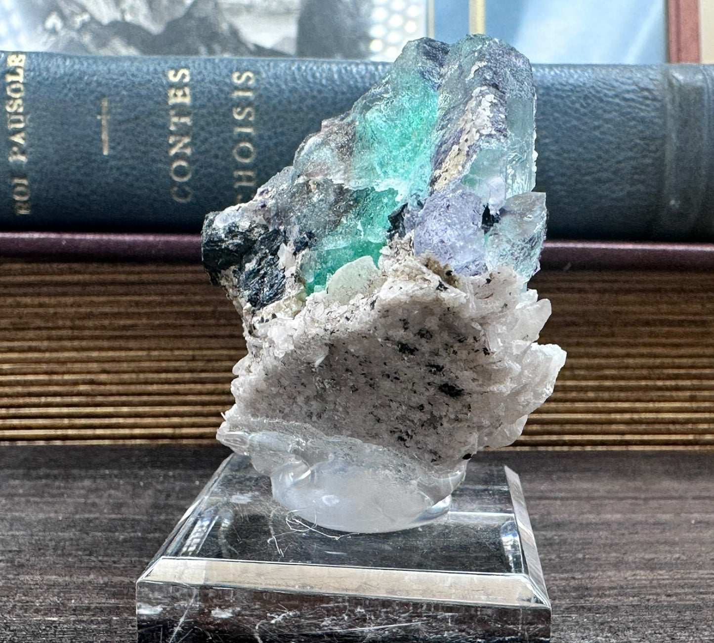 【アクリル台座付き標本】フローライト ブラックトルマリン共生