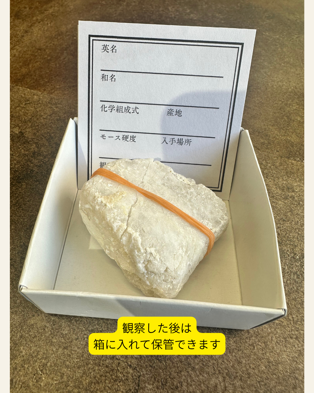 【夏休み!自由研究応援!】水晶ジオード アイディアシートセット n281