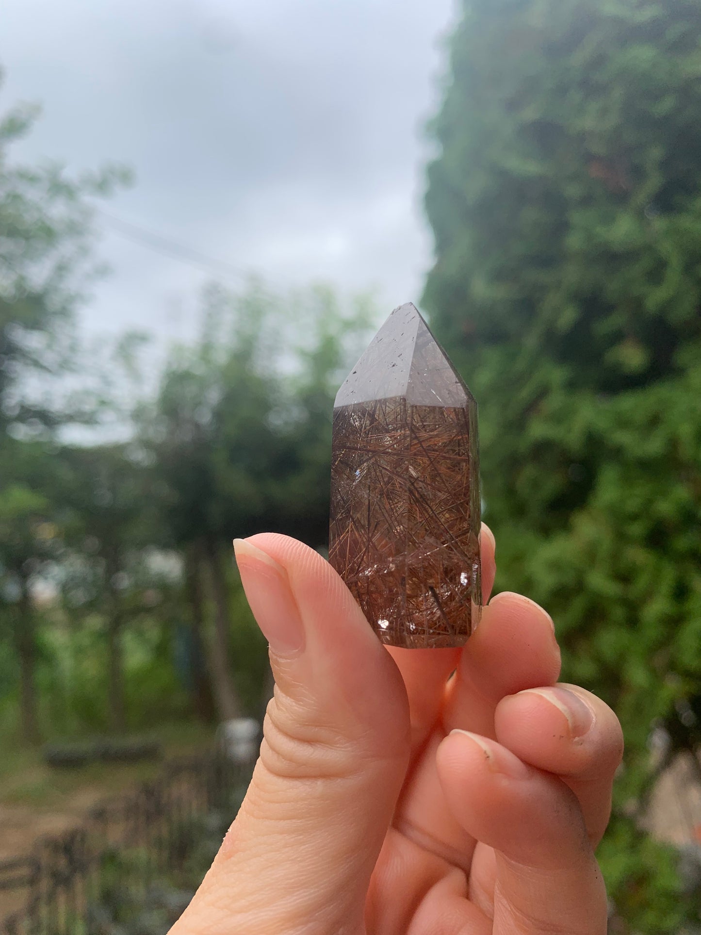 【光を纏う黄金の水晶】ルチルクォーツ n294