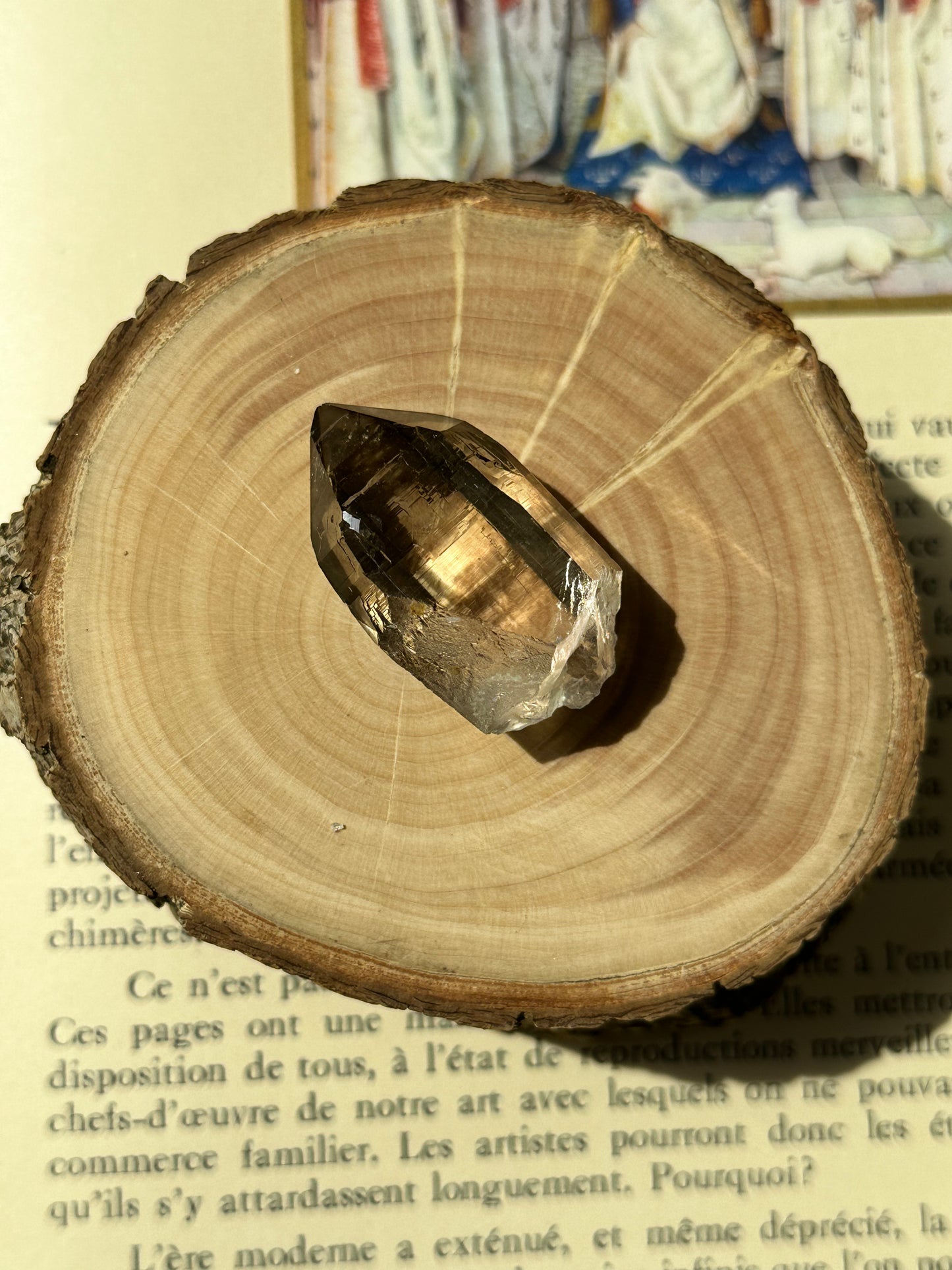 ヨーロッパ最高峰【モンブラン産】の特別な【水晶】 n247