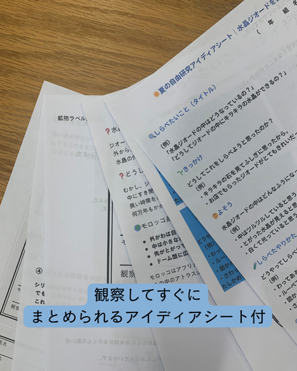 【夏休み！自由研究応援！】水晶ジオード　アイディアシートセット　n281