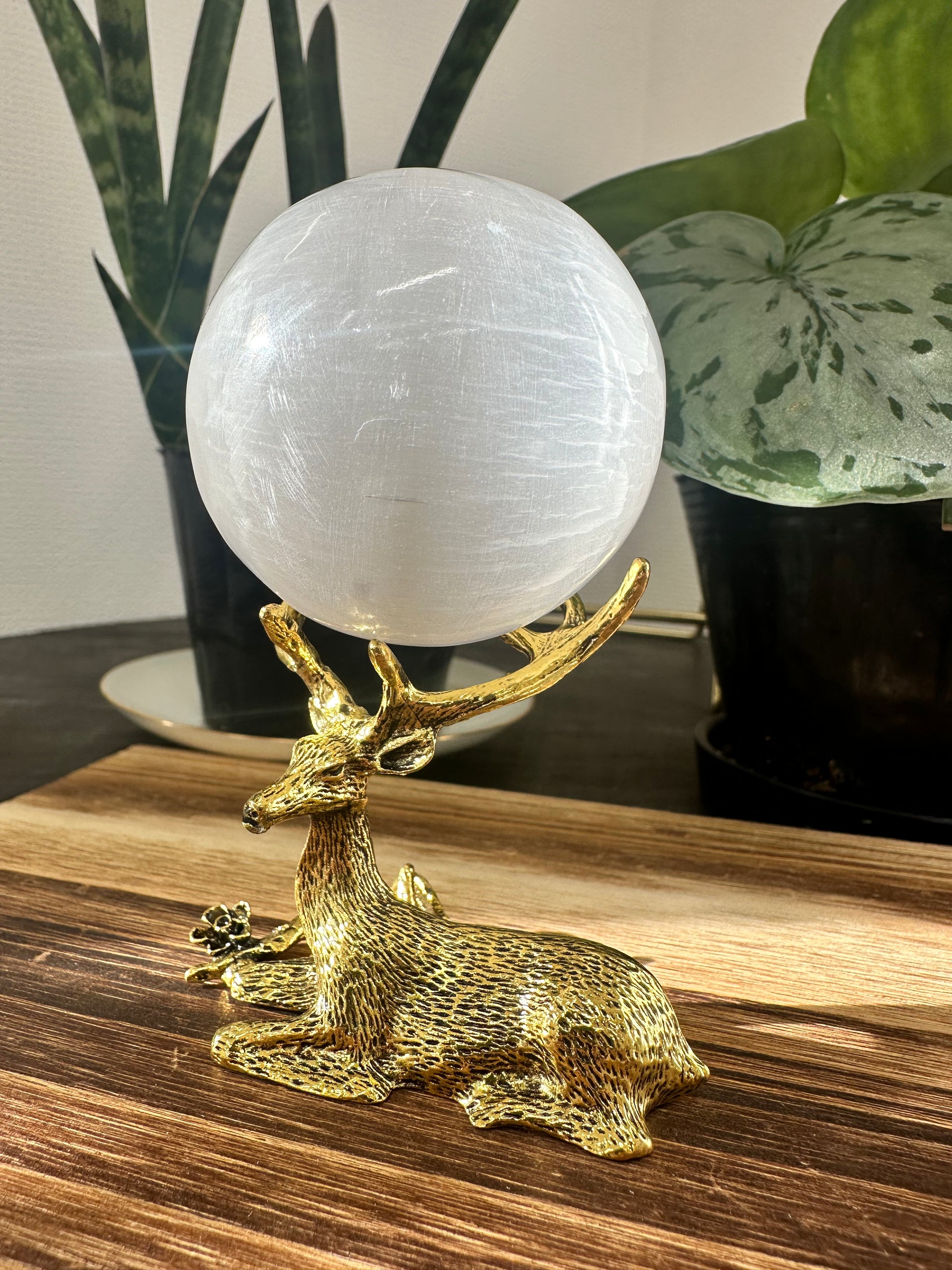 台座付】セレナイト スフィア – Crystal Charm