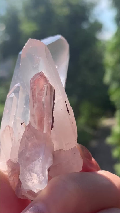 【神々が住まう場所からの贈り物】ヒマラヤ水晶　ヒマラヤマニカラン産　クラスター　n270