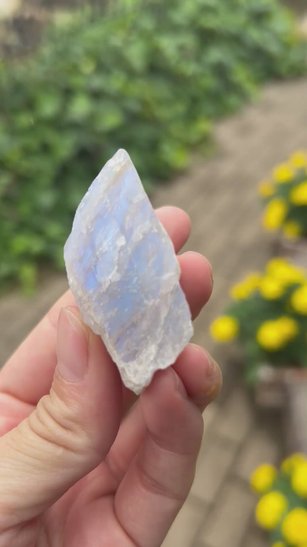 Crystal Charm